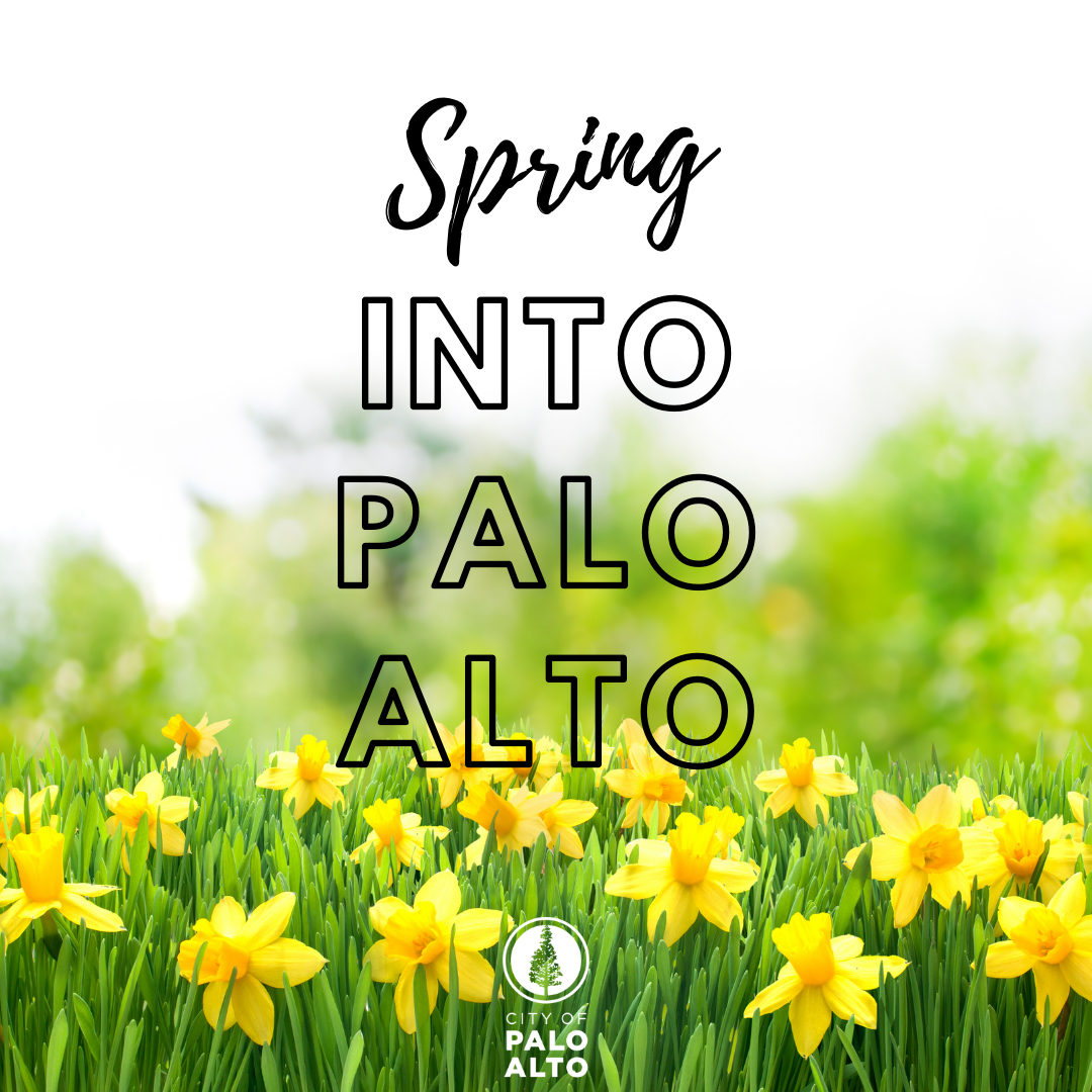 Spring Forward in Palo Alto Ideas to Create, Celebrate, and Connect