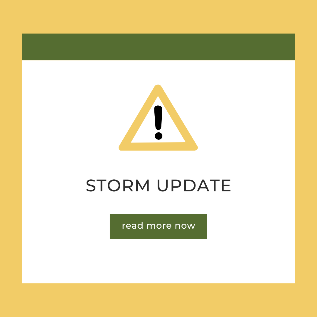 STORM UPDATE – City of Palo Alto, CA