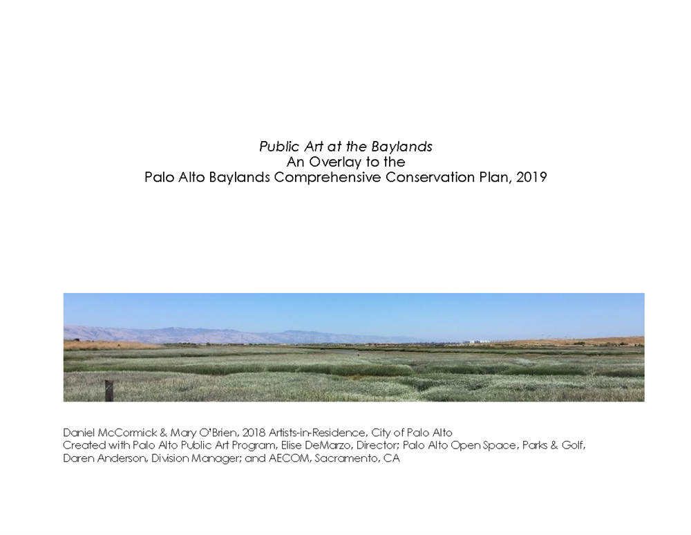 The Baylands Public Art Overlay