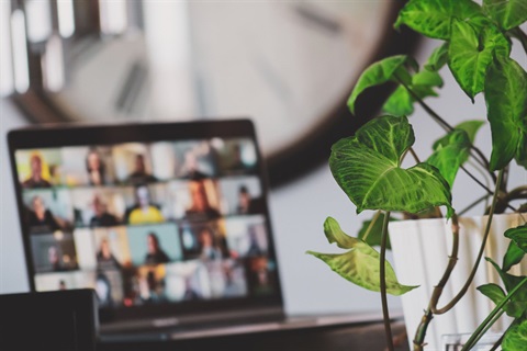 A zoom meeting sits on a desk with a plant in the foreground