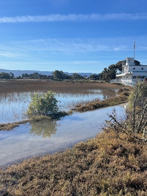 water from the Baylands fills the marshland, covers a trail and nearly reaches the raised boardwalk along a white building.