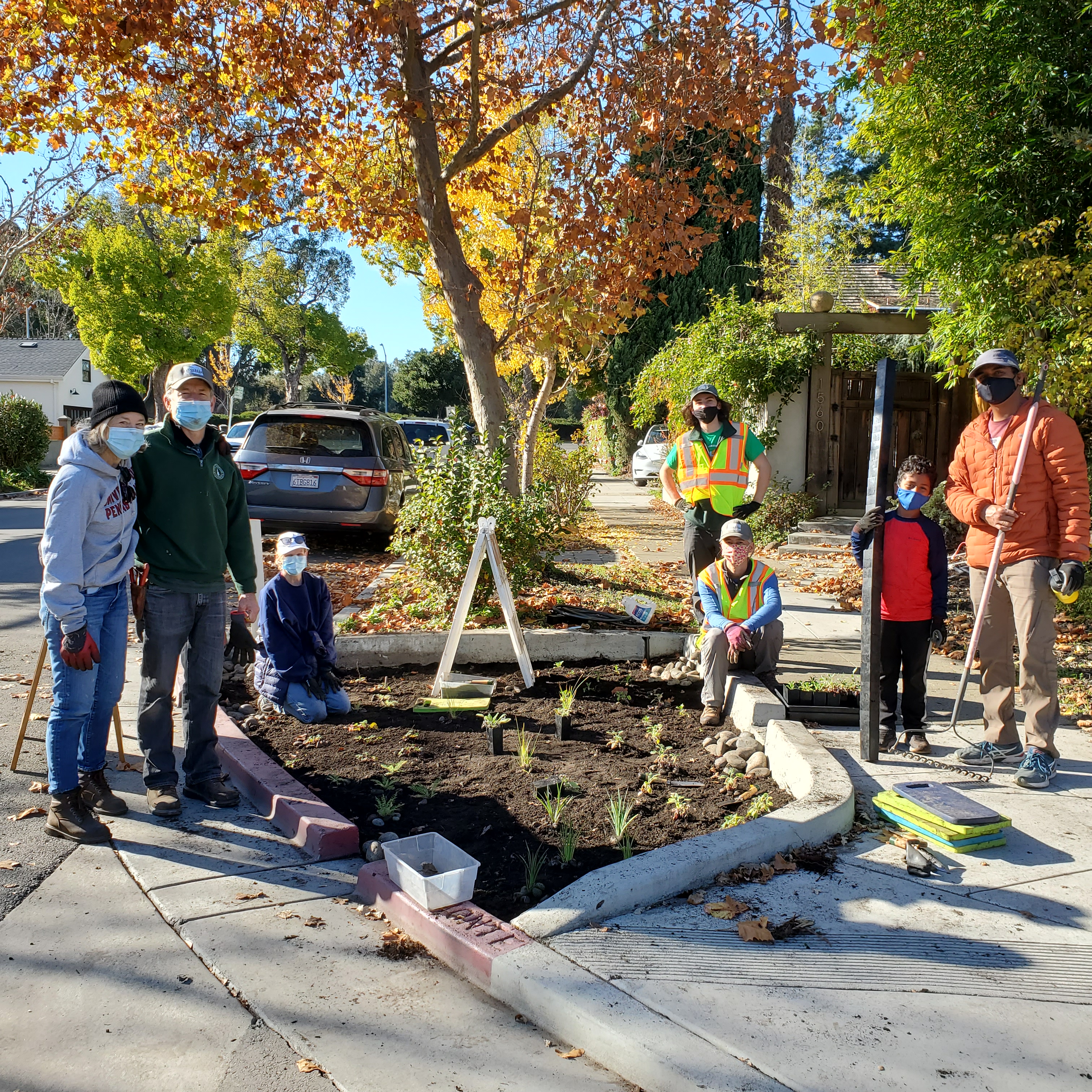 Volunteer Planting Day