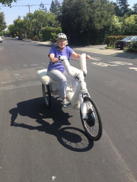 Senior citizen on adult trike