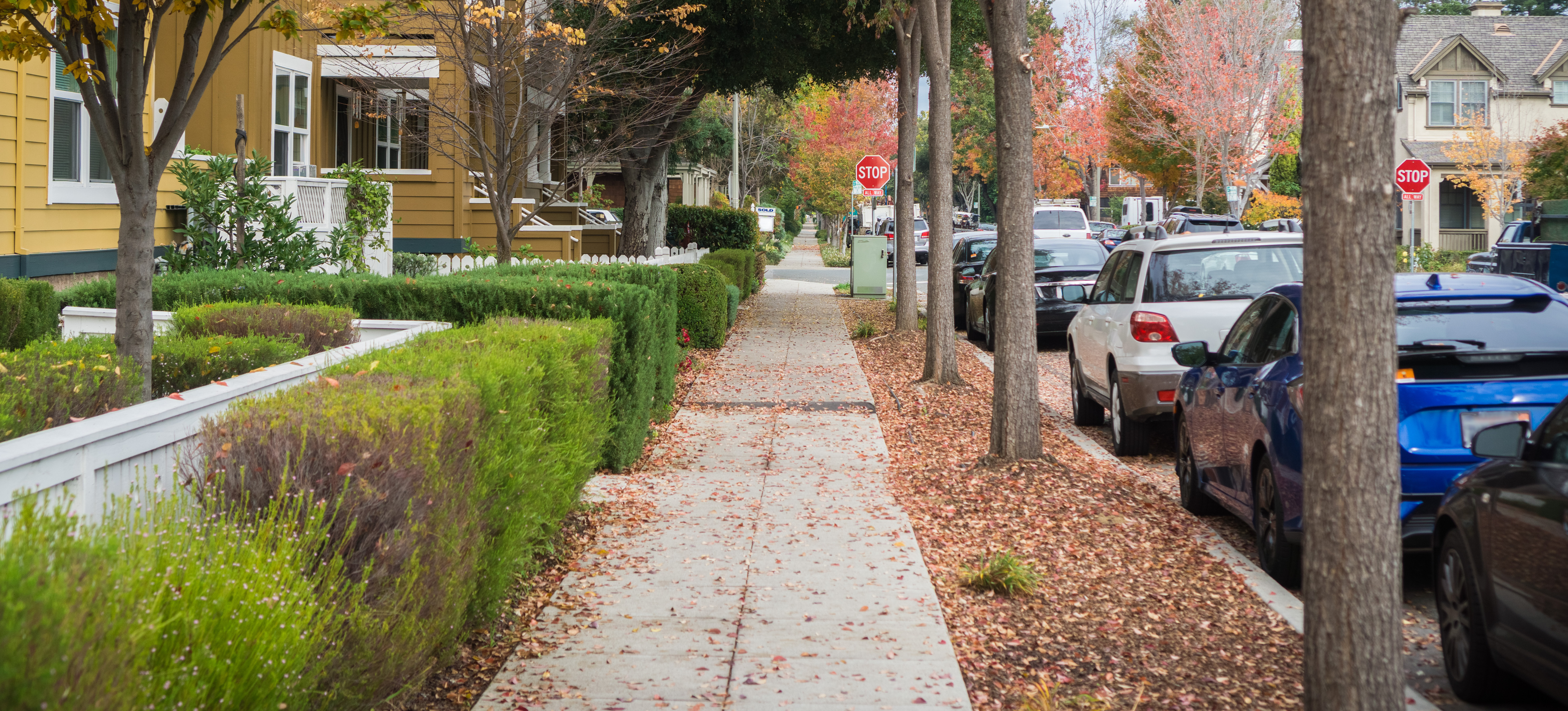 Parking City of Palo Alto CA