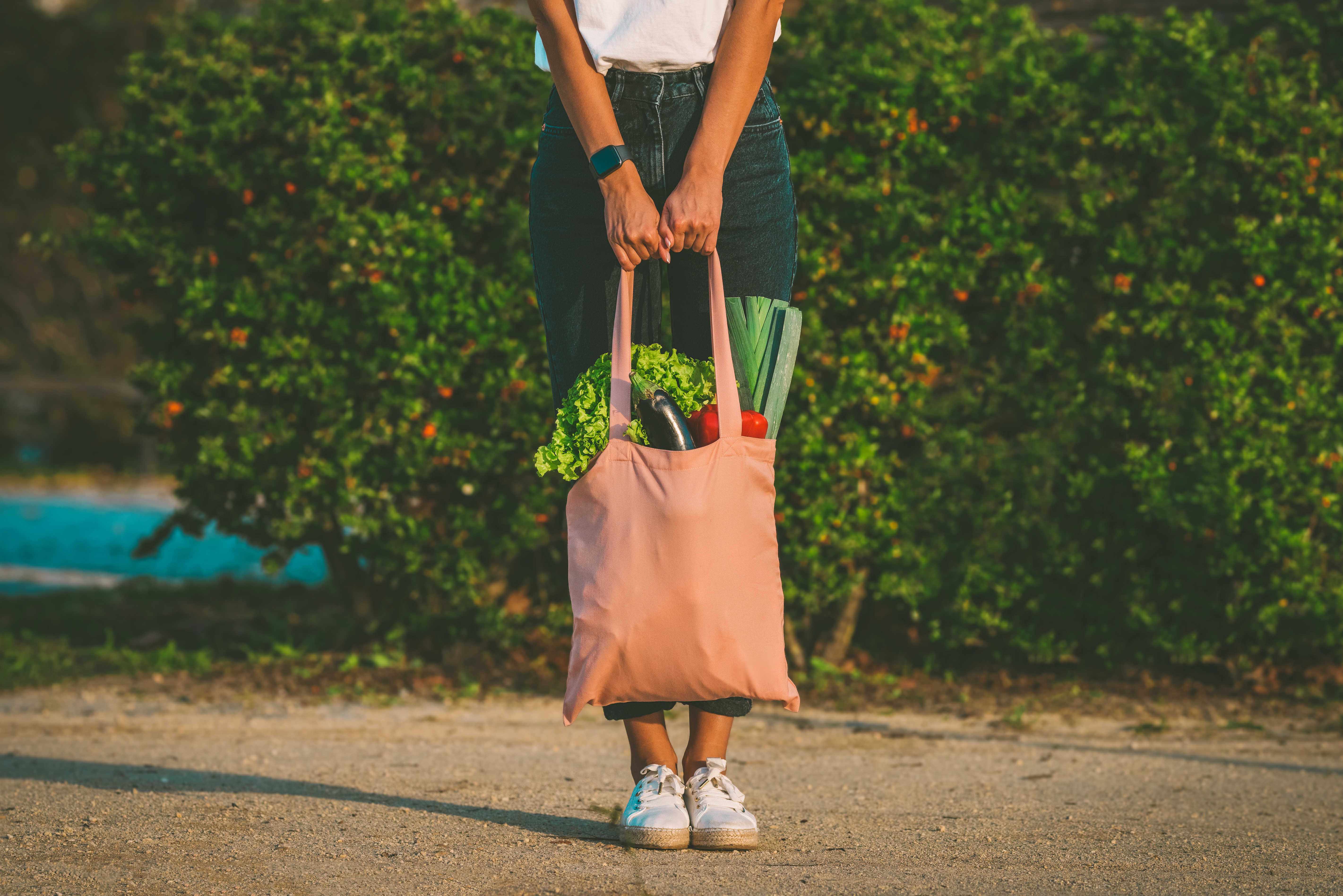 reusable shopping bag