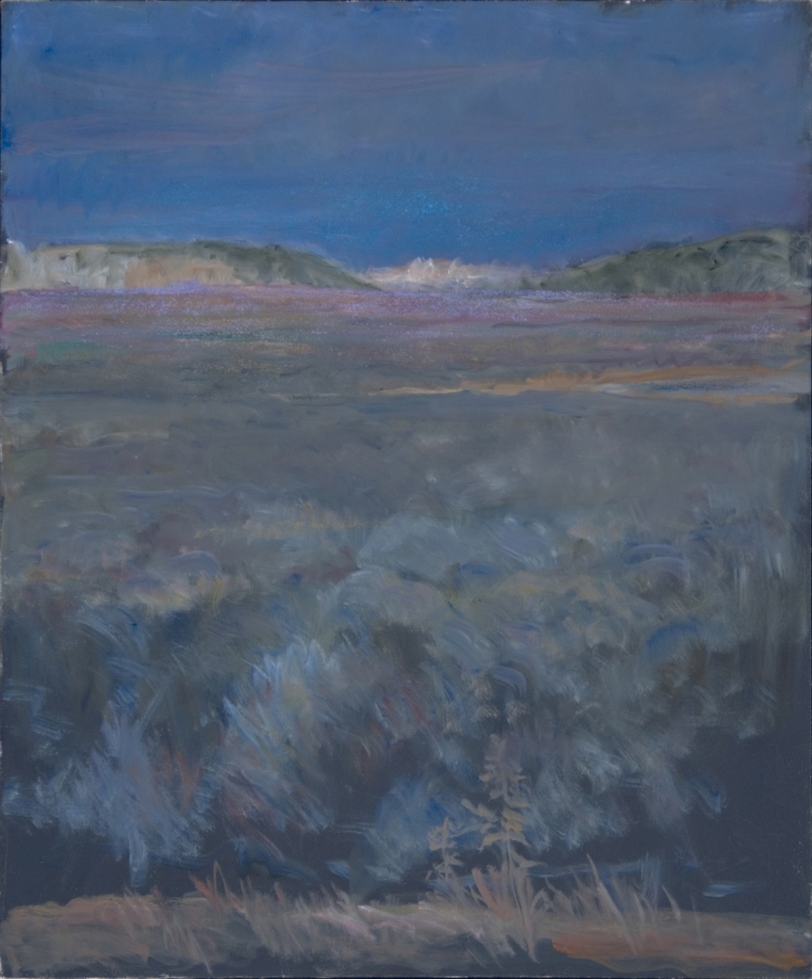 Image of Pescadero #7, Paul Carey