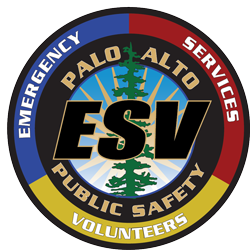 ESV Logo