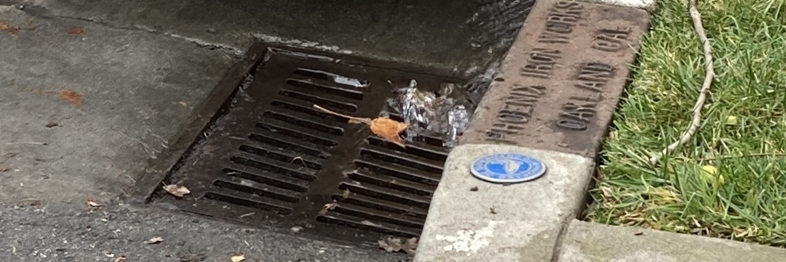 clear water flows into a brown metal grate in the gutter